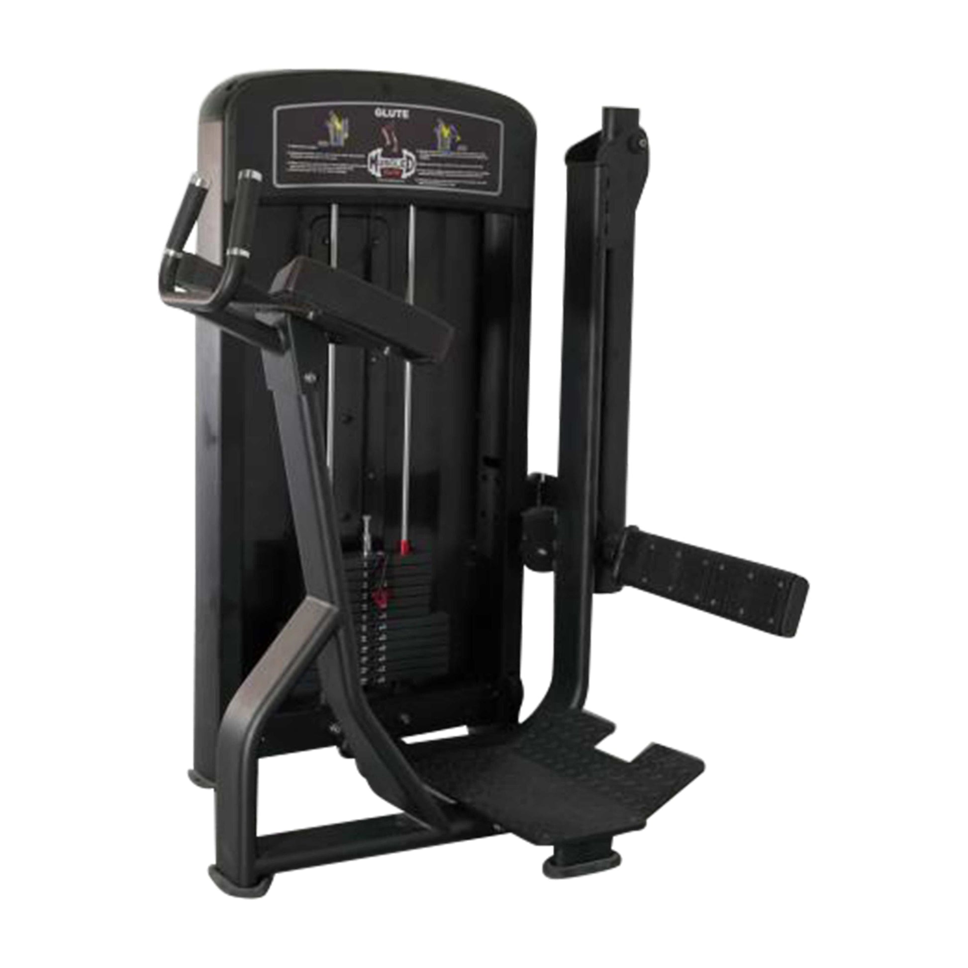 Muscle D Fitness Glute Machines Muscle D Selectorized Elite Line Glute Machine