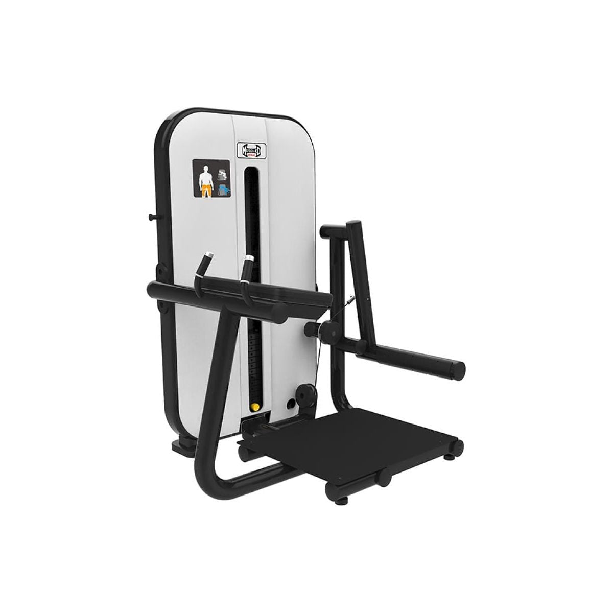 Muscle D Fitness Glute Machines Muscle D Vogue Line Glute Blaster