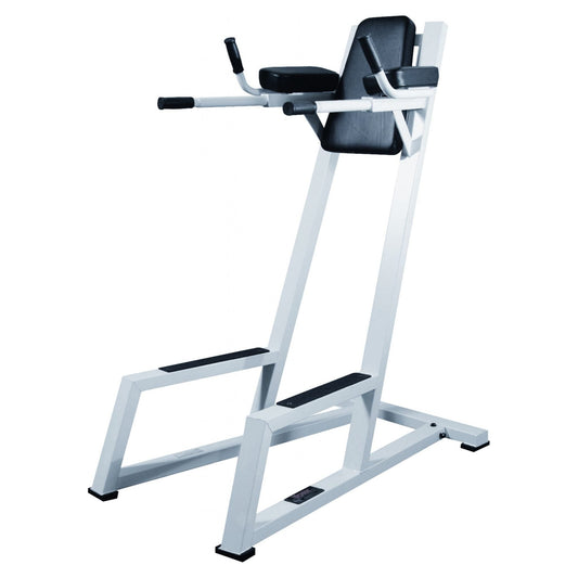 STS Functional Machine York STS Vertical Knee Raise (VKR) With Dip